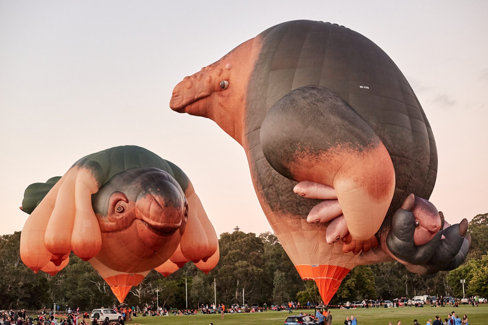 Patricia Piccinini’s Skywhales